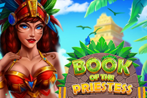 Book Of The Priestess